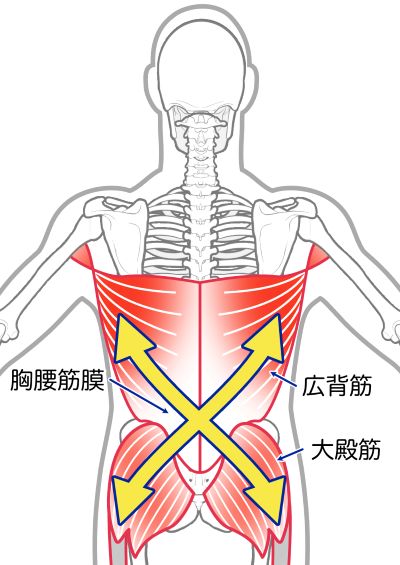 圧迫骨折後の腰痛お尻の痛み4