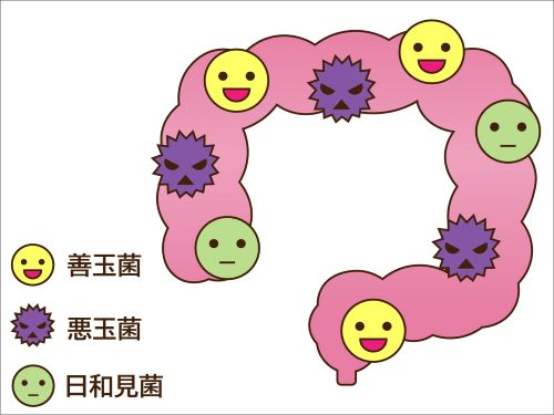 腸活マッサージ２