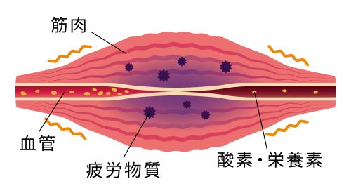 疲労予防２