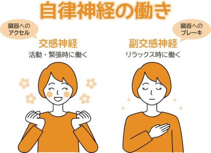 自律神経整体１