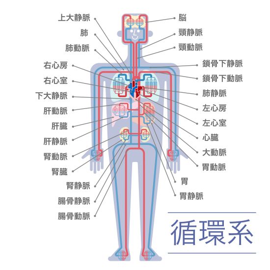 血行促進2