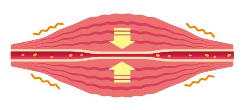 筋肉疲労2
