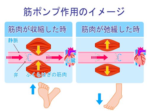 身体の緊張2