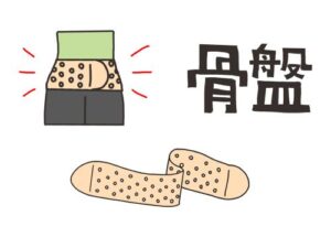 骨盤を正して、ベルトを止めさせます