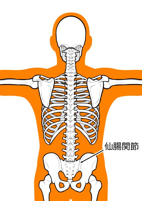 仙腸関節6