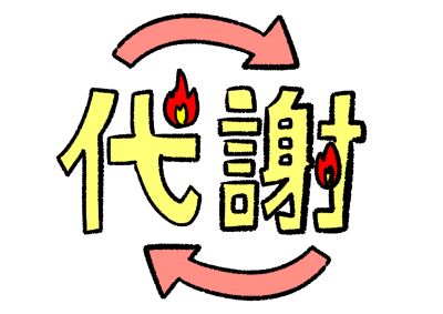 代謝が悪い1